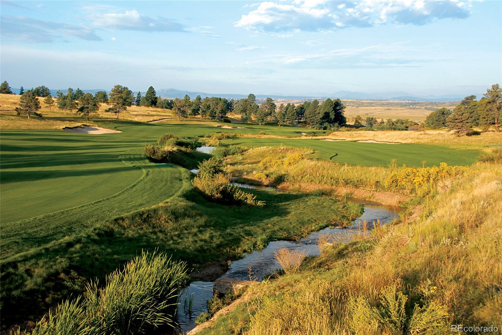 7921 Forest Keep Circle Parker, CO 80134 - Photo 18 of 36 a view of a lake and houses with outdoor space