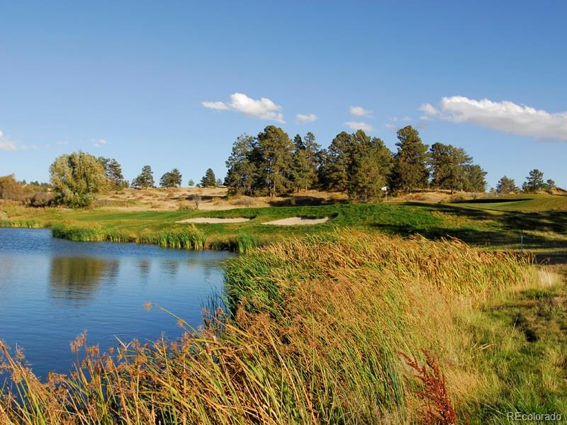7921 Forest Keep Circle Parker, CO 80134 - Photo 22 of 36 a view of a lake with a house in the background