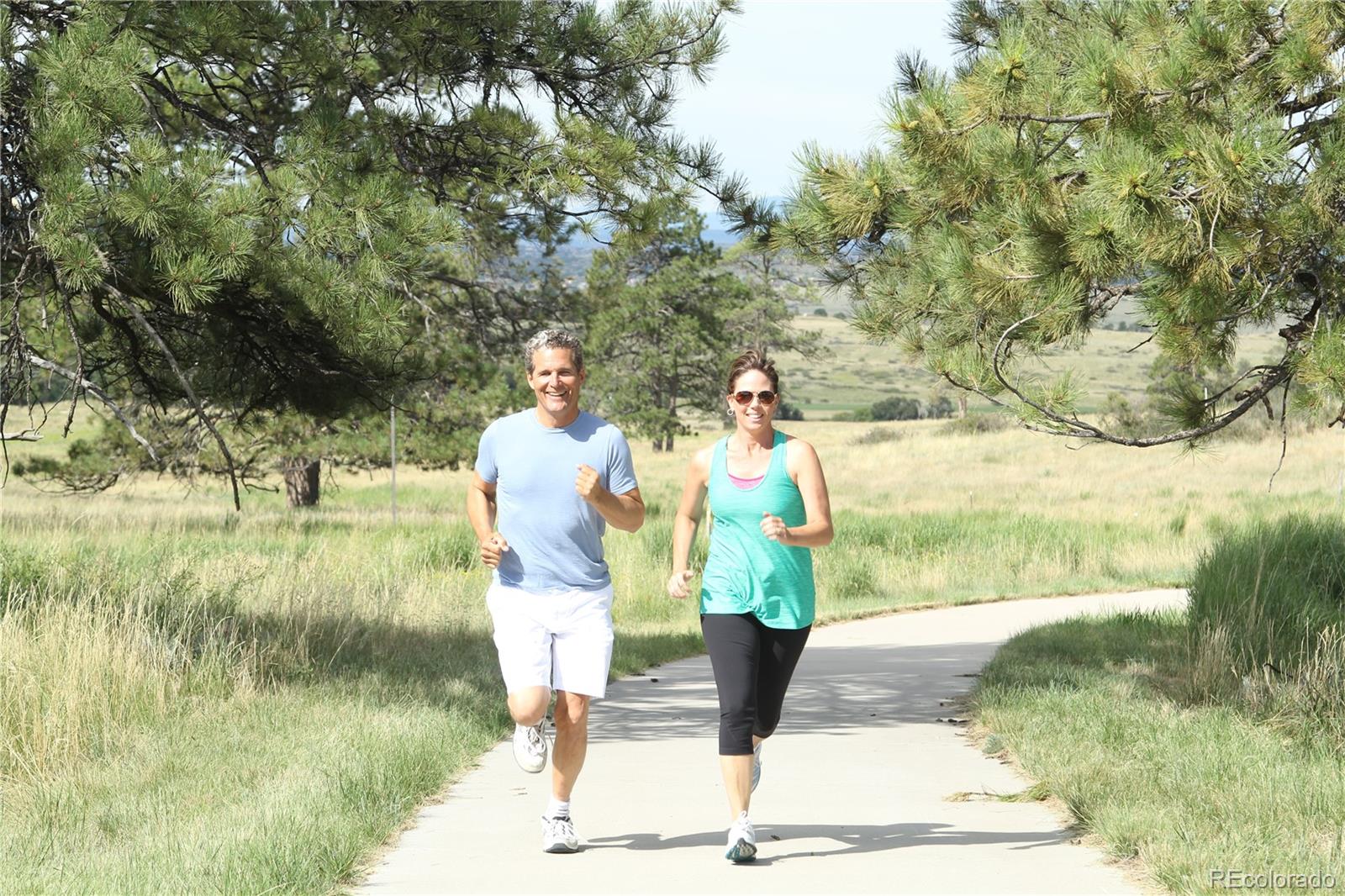 7921 Forest Keep Circle Parker, CO 80134 - Photo 7 of 36