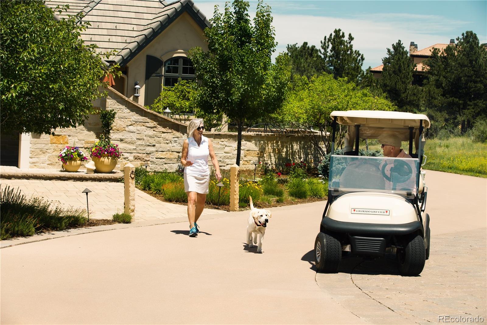 7921 Forest Keep Circle Parker, CO 80134 - Photo 9 of 36