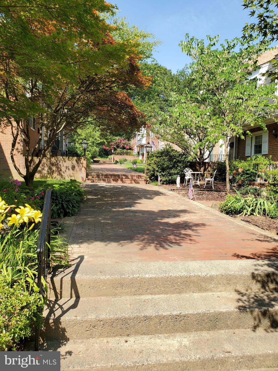 3883 Chain Bridge Road Fairfax, VA 22030 - Photo 3 of 4 Walkway up to the front door.