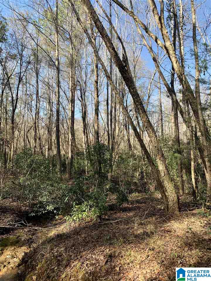 0 Donald Stewart Road, Unit 452 Marion, AL 36756 - Photo 8 of 29 Gallery Image 8