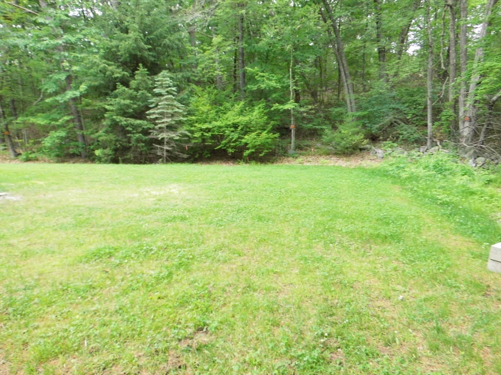 13 Showell Pond Road Sandown, NH 03873 - Photo 6 of 42 a view of outdoor space and yard