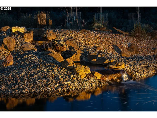a view of a backyard with large trees