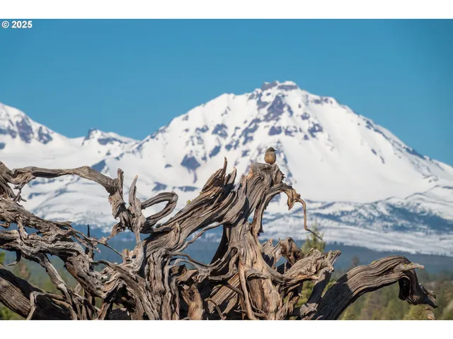 a view of white house with a mountain