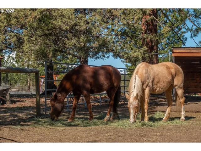 a view of a house with a porch and a yard