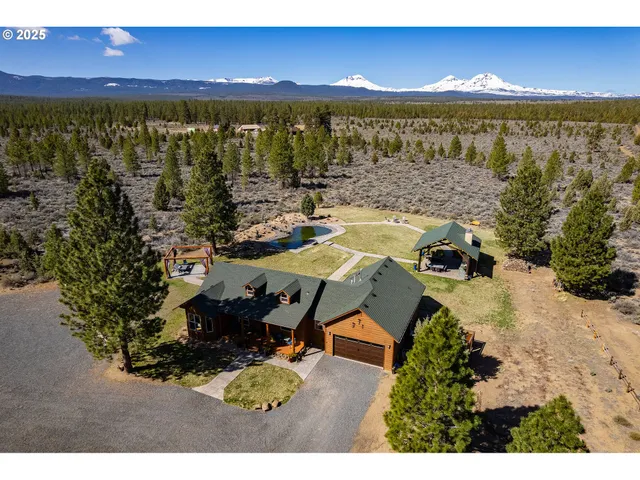 a view of a plant in front of a door