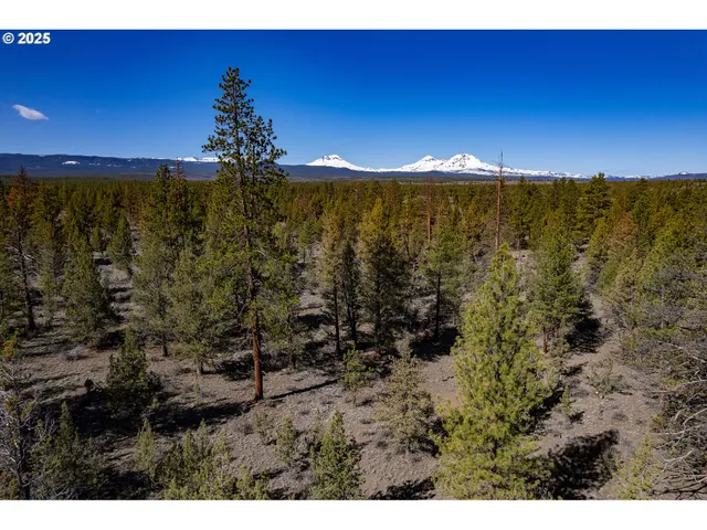 a view of a swimming pool with a yard
