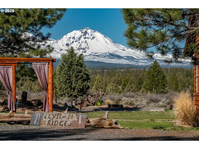 a view of a house with a yard and potted plants