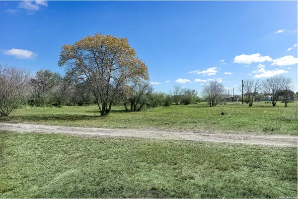 a view of field with large trees