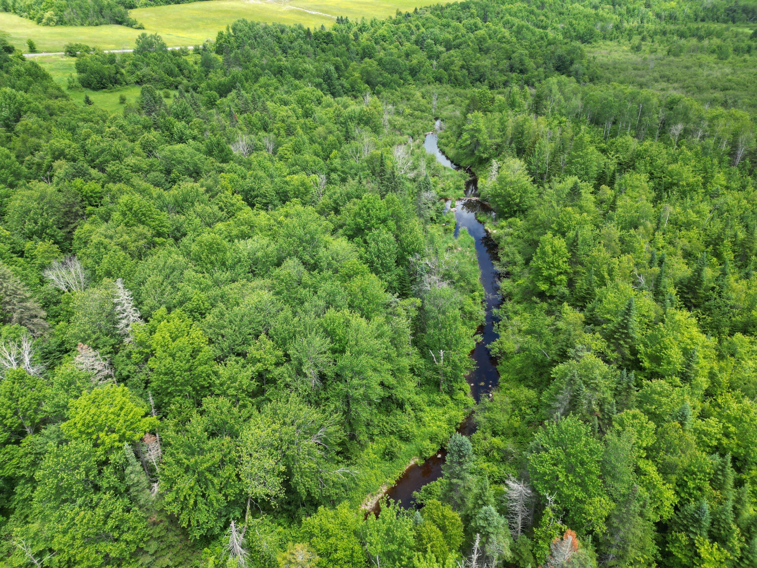 Lot 2 Main Road Carroll Plt, ME 04487 - Photo 9 of 14 DJI_0760