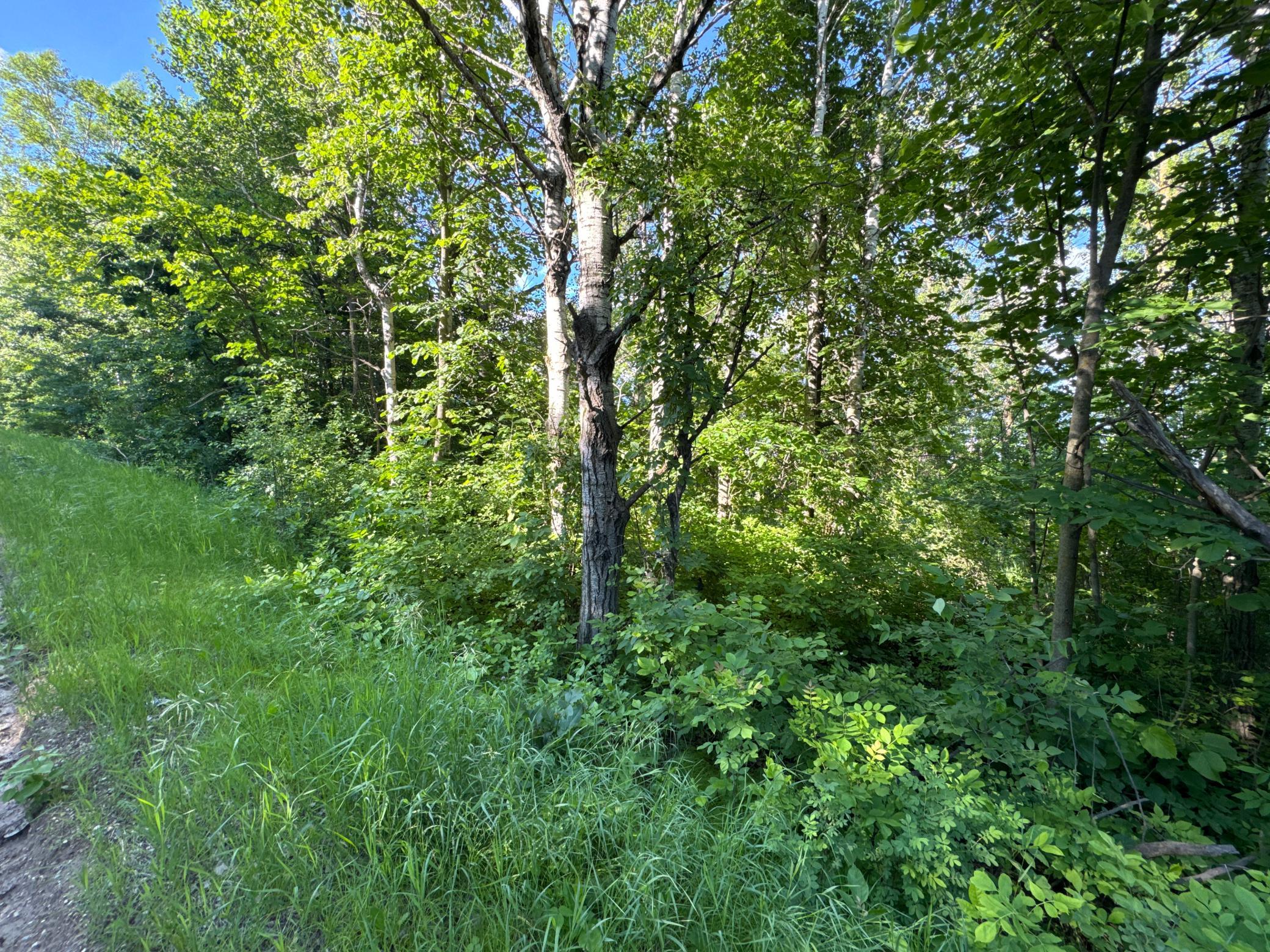Xxxxx German Lake Road Underwood, MN 56586 - Photo 15 of 16