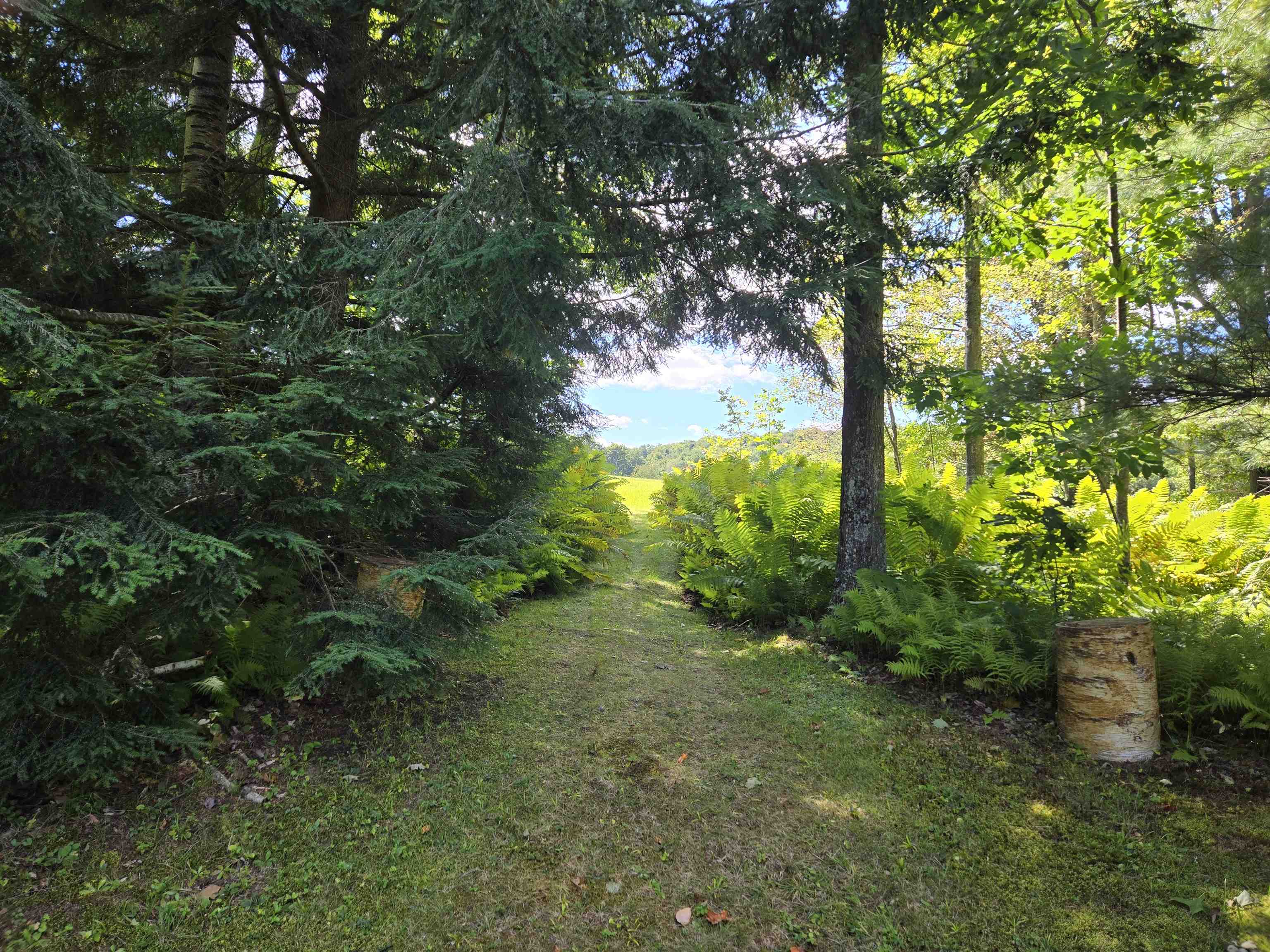 2383 Old Mount Hunger Road, Unit 60704 2 Barnard, VT 05032 - Photo 4 of 41