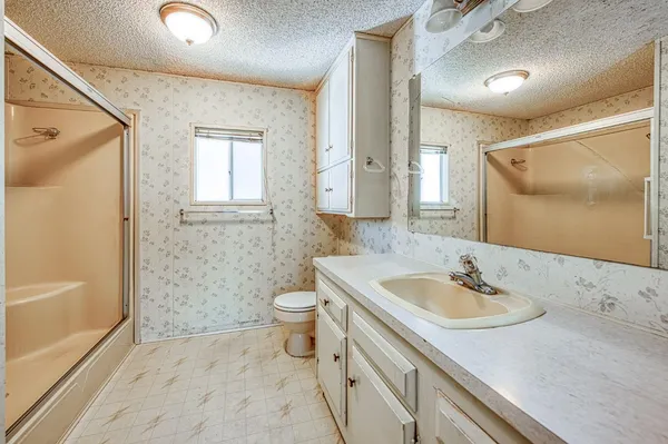 a bathroom with a sink a toilet and shower