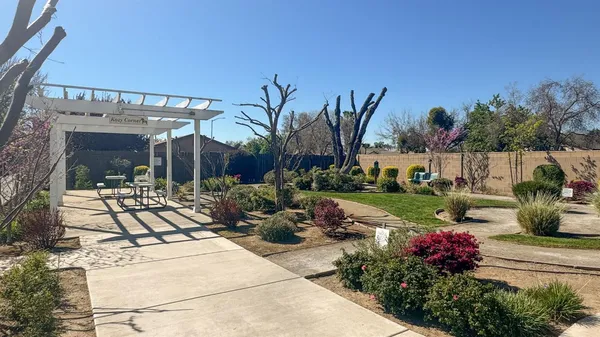 a view of a patio with table and chairs potted plants and large tree