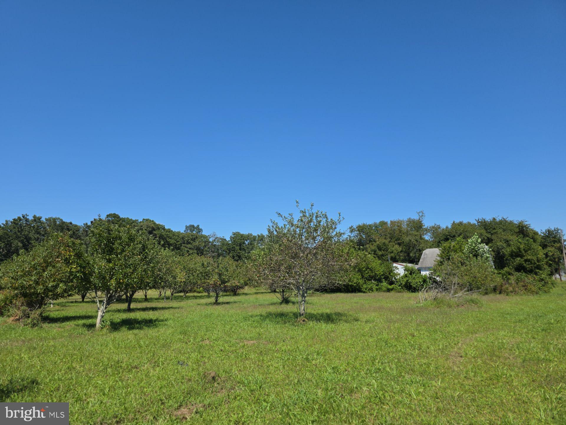 254 Fairton Gouldtown Road Bridgeton, NJ 08302 - Photo 15 of 17