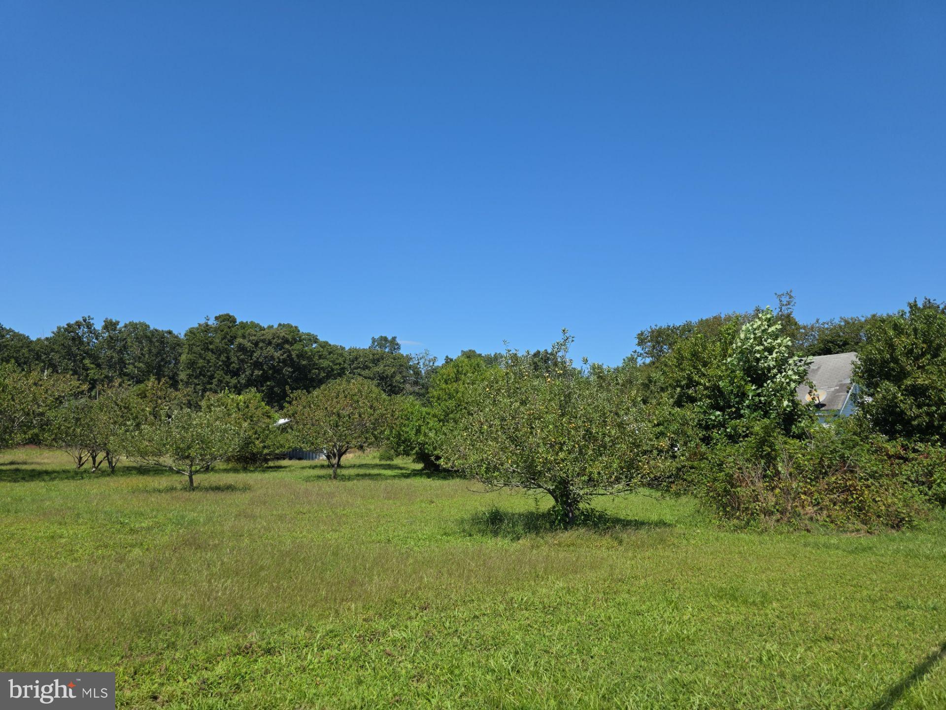254 Fairton Gouldtown Road Bridgeton, NJ 08302 - Photo 16 of 17