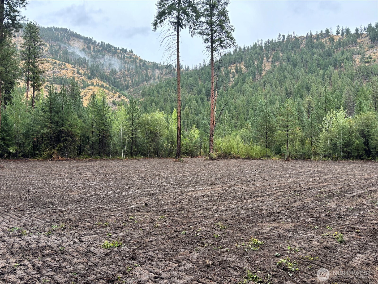 14216 Entiat River Road Entiat, WA 98822 - Photo 2 of 3 a view of an outdoor space
