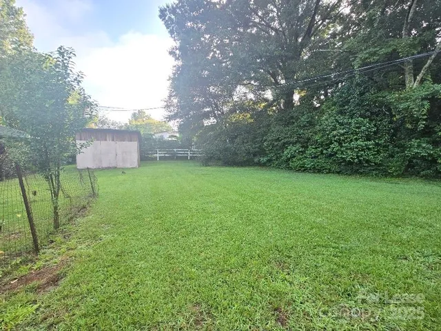 a green field with lots of bushes