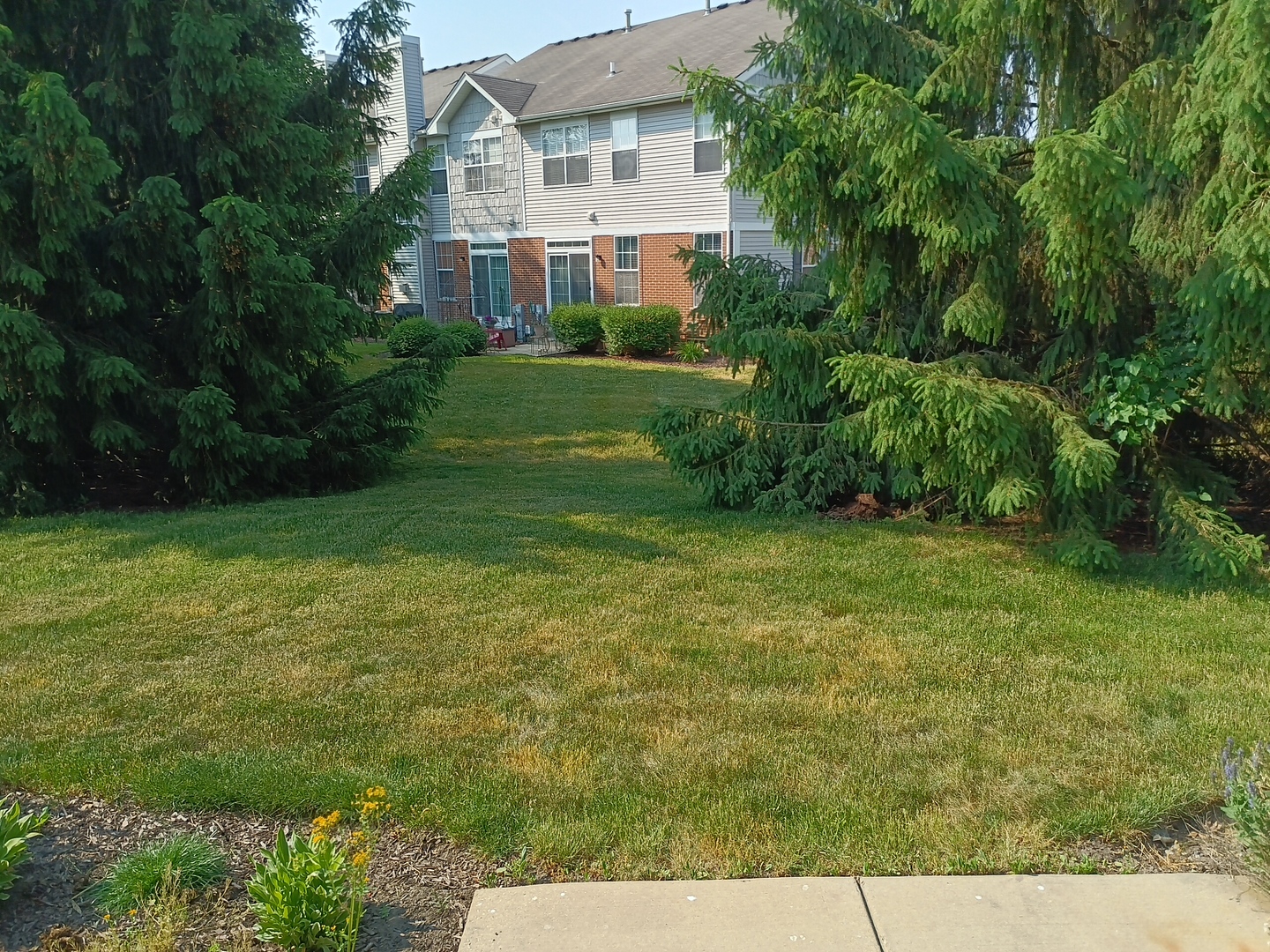 24213 Walnut Circle Plainfield, IL 60585 - Photo 14 of 15 a view of a big yard with plants and large trees