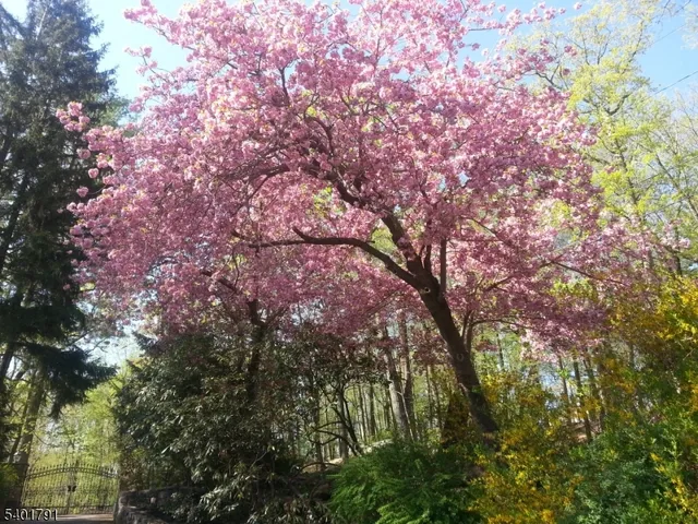 $2,200,000 | 5 Summit Terrace North, Kinnelon, NJ 07405