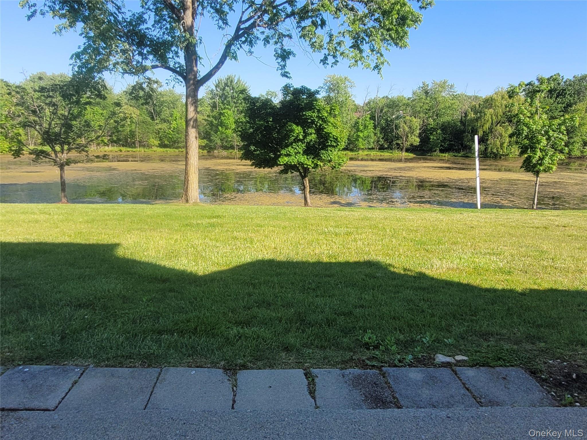40 Brick Pond Road Middletown, NY 10940 - Photo 8 of 21 Patio overlooking the pond