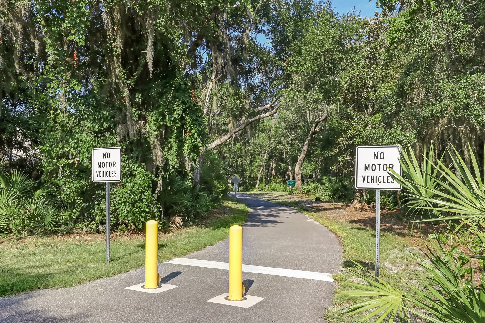 96122 Roddenberry Way Fernandina Beach, FL 32034 - Photo 28 of 34 walking path to Beach path 105
