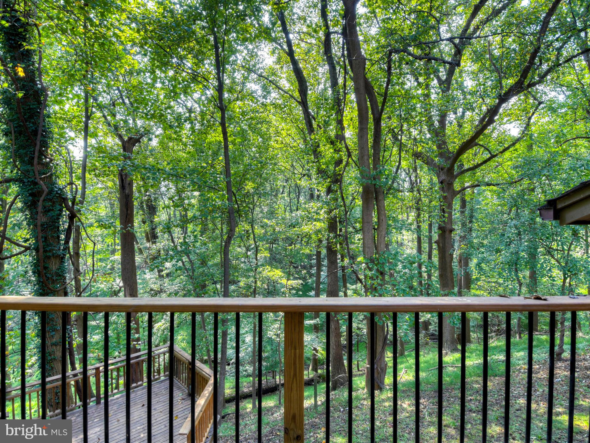 3829 Dance Mill Road Phoenix, MD 21131 - Photo 36 of 47 Gallery Image 36
