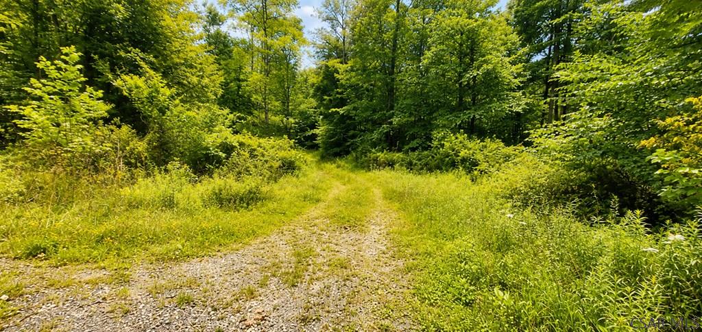 Double Dam Road Northern Cambria, PA 15714 - Photo 4 of 11 Gallery Image 4