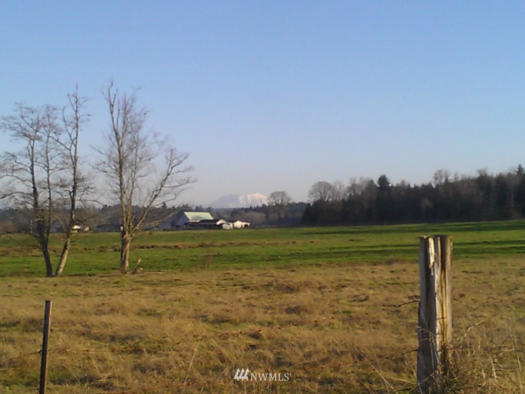 270 Newaukum Valley Road Chehalis, WA 98532 - Photo 4 of 5