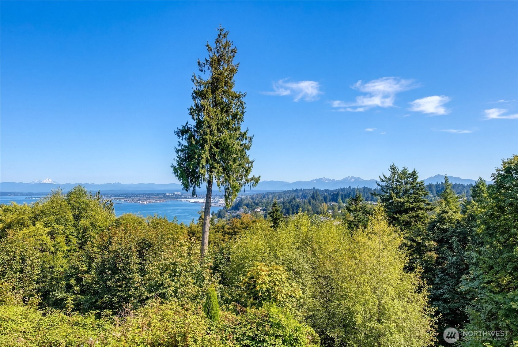 4911 Harbor Lane Everett, WA 98203 - Photo 2 of 39