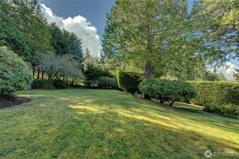 a view of a garden with lawn chairs