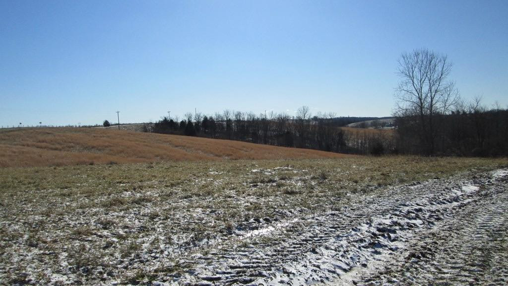 2811 Bridgeville Road Brooksville, KY 41004 - Photo 3 of 14 Listing Photo