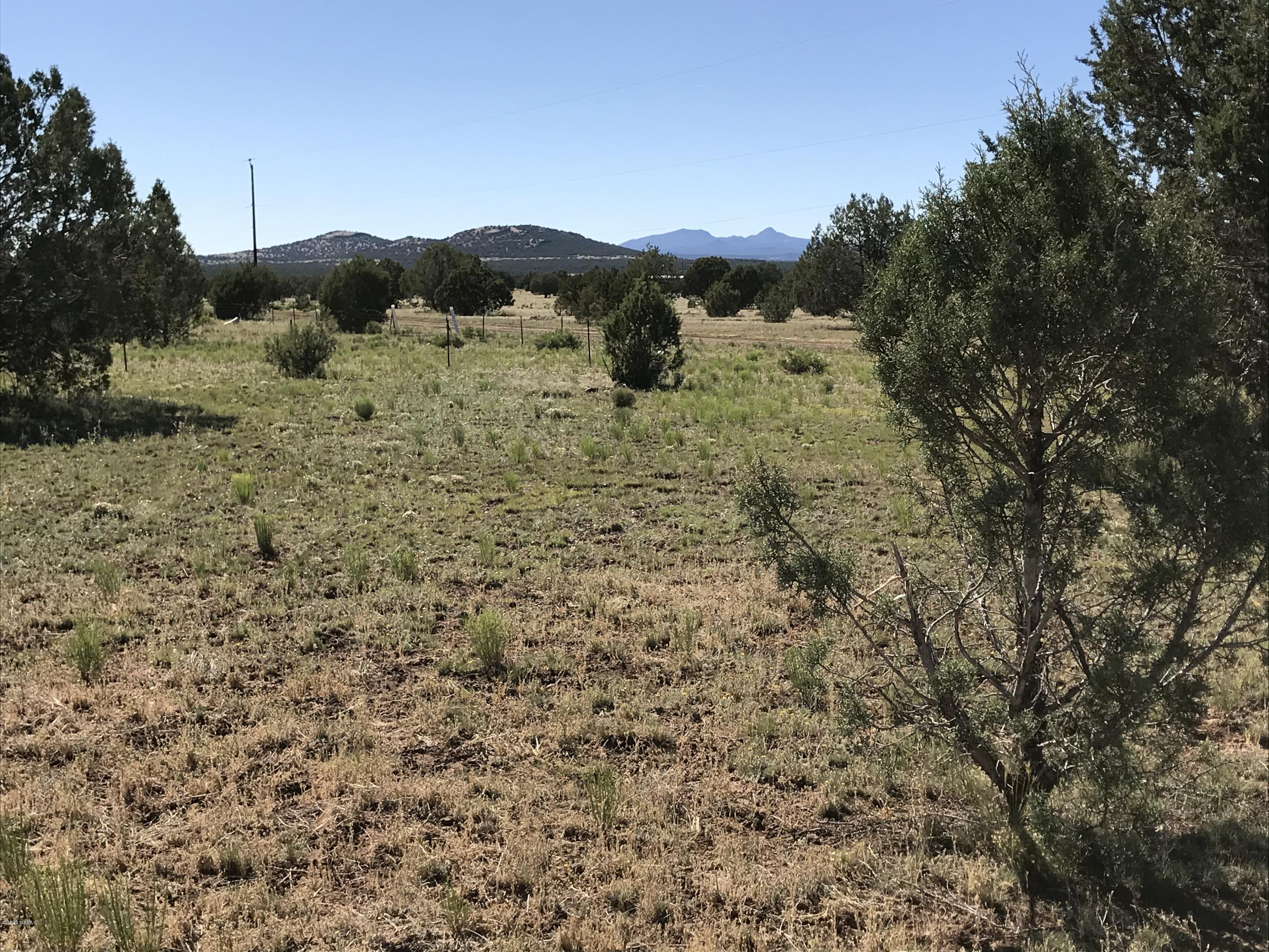 2202 Rincon Drive Williams, AZ 86046 - Photo 1 of 8 IMG_0453