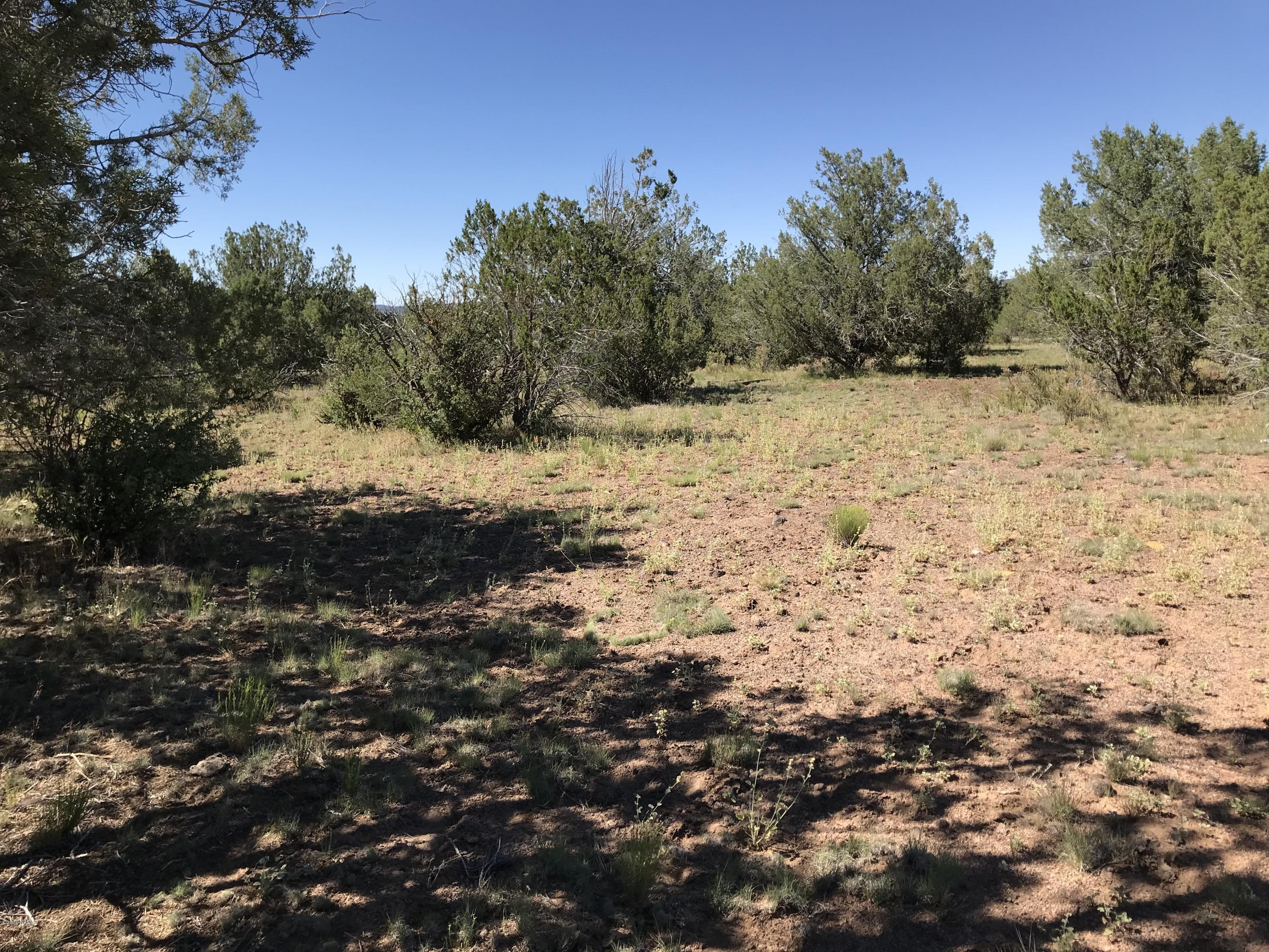 2202 Rincon Drive Williams, AZ 86046 - Photo 2 of 8 IMG_0447