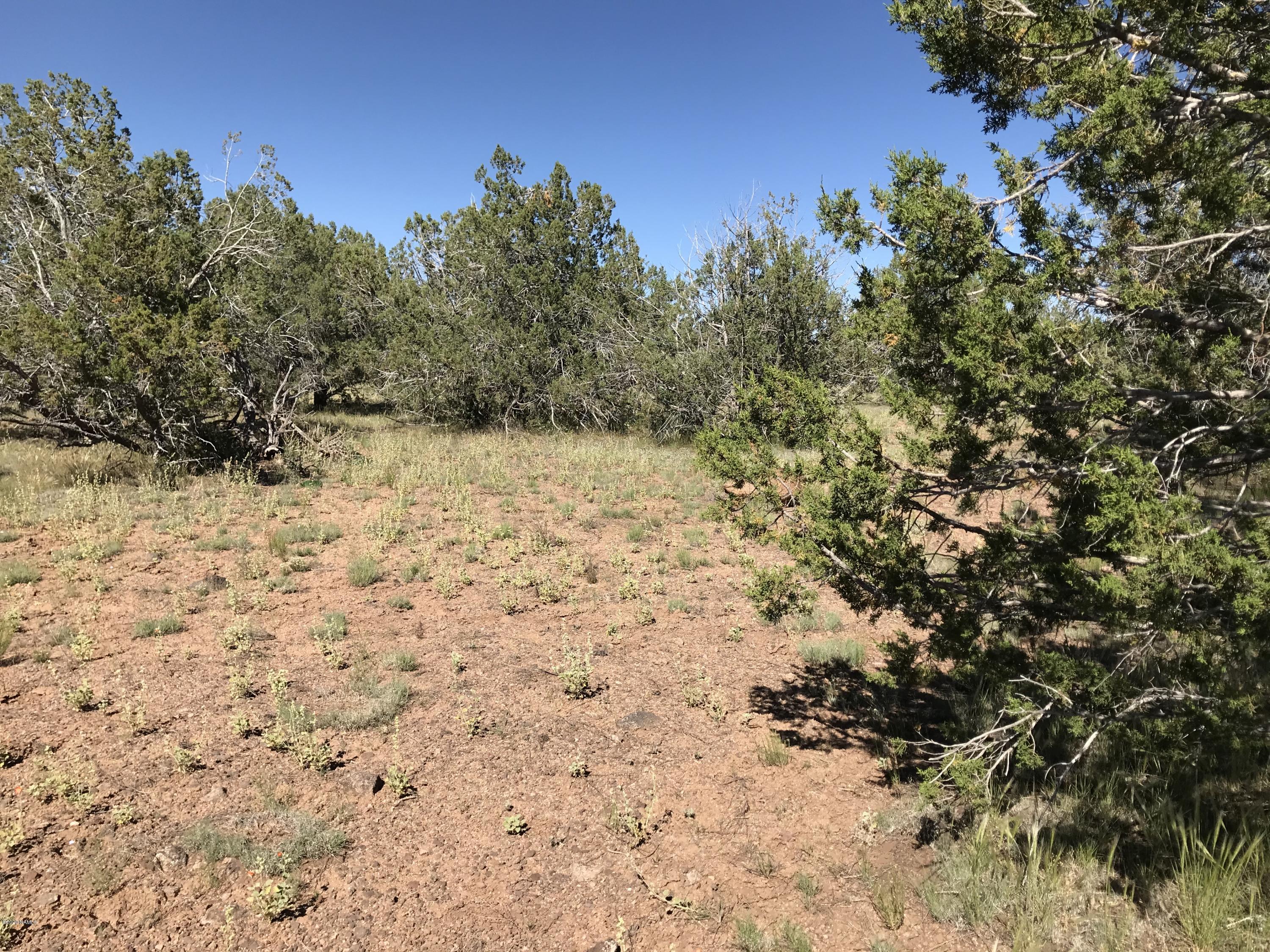 2202 Rincon Drive Williams, AZ 86046 - Photo 5 of 8 IMG_0450