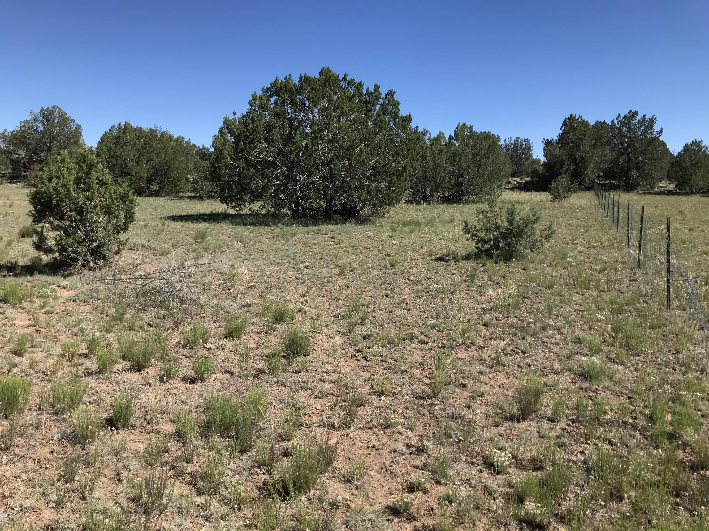2202 Rincon Drive Williams, AZ 86046 - Photo 6 of 8 IMG_0446