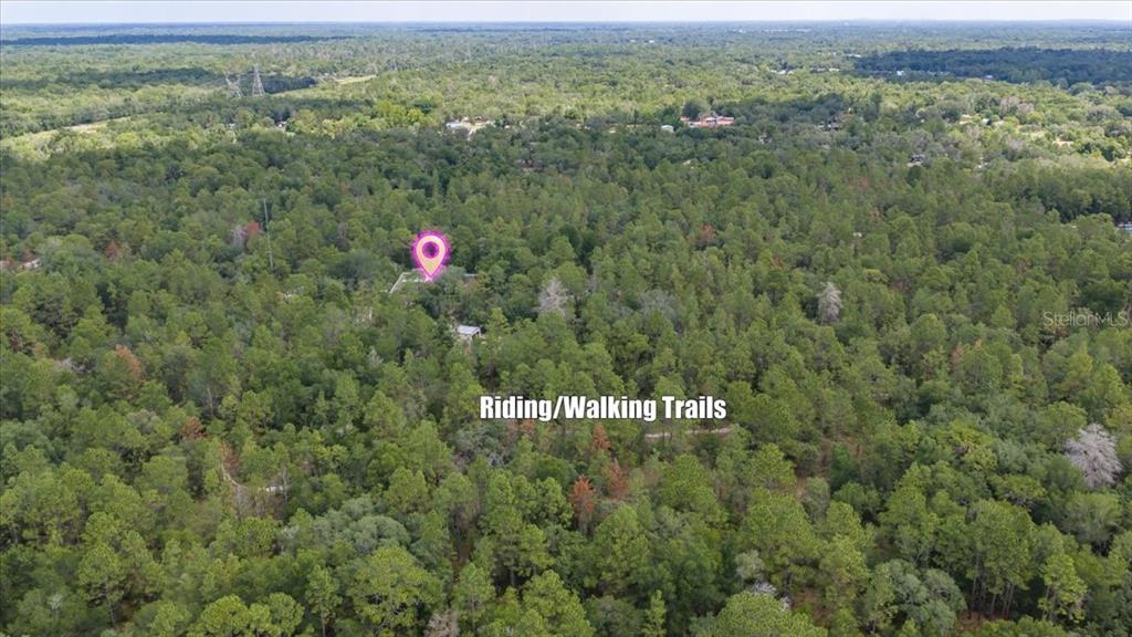 15624 Peace Boulevard Spring Hill, FL 34610 - Photo 53 of 59