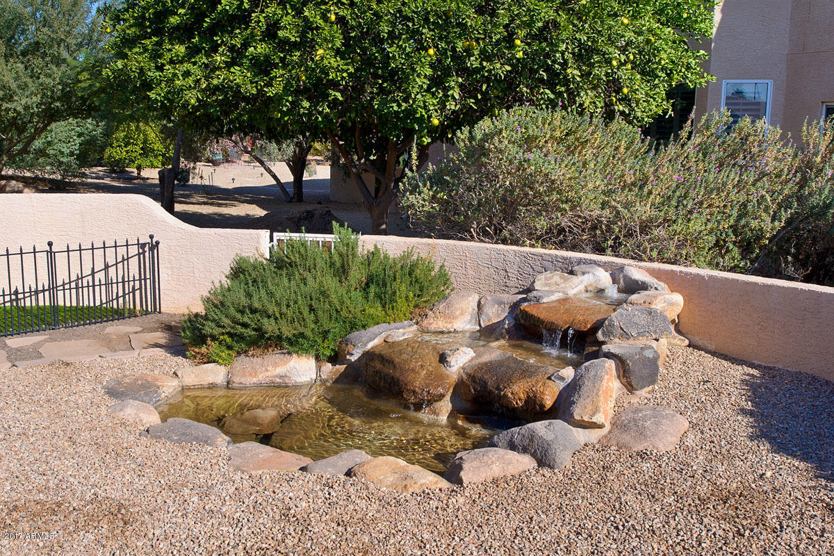 15424 Piccadilly Road Goodyear, AZ 85395 - Photo 18 of 21 Fountain