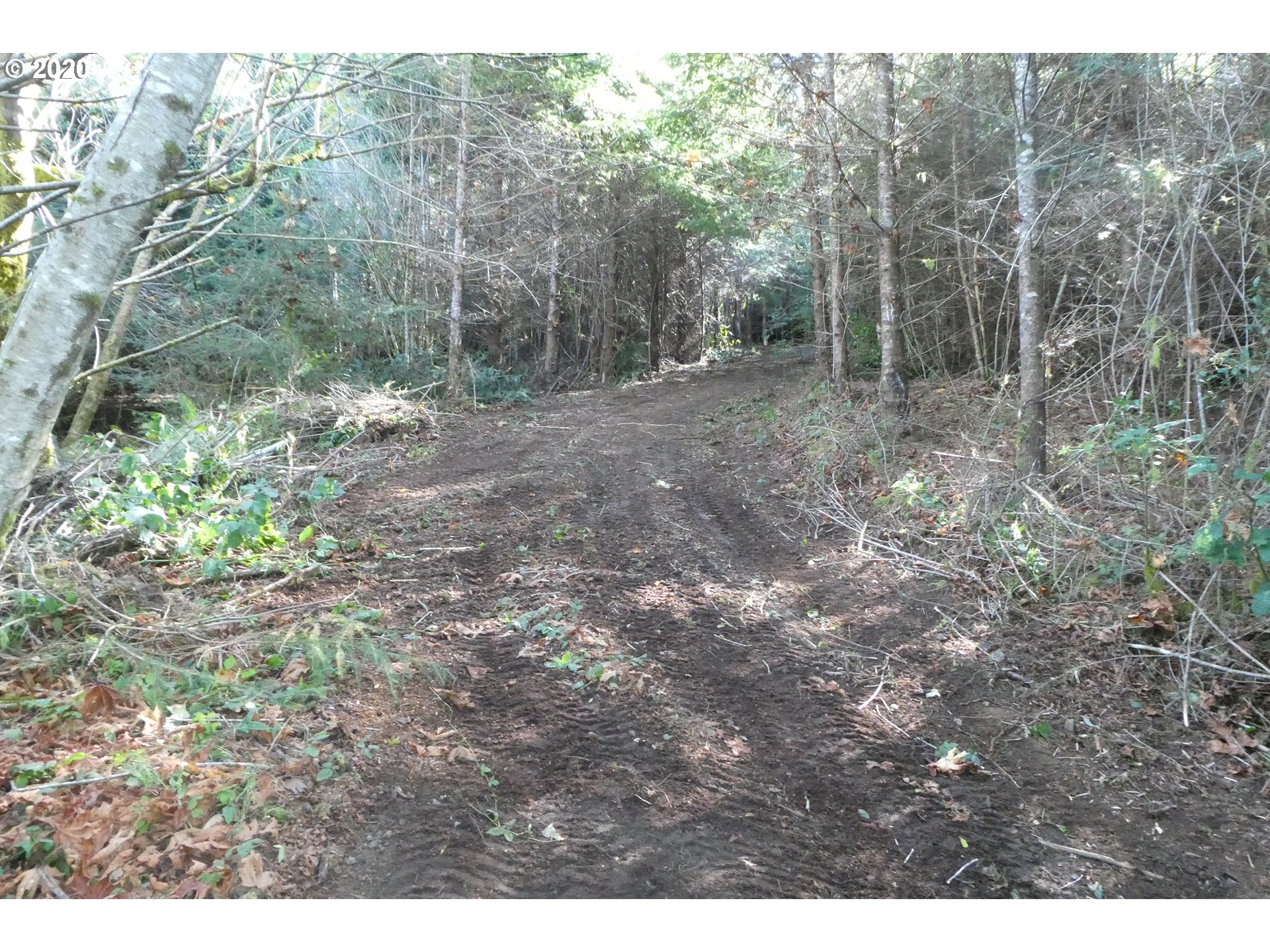 Coy Creek Road, Unit 605 Gold Beach, OR 97444 - Photo 11 of 32 Gallery Image 11