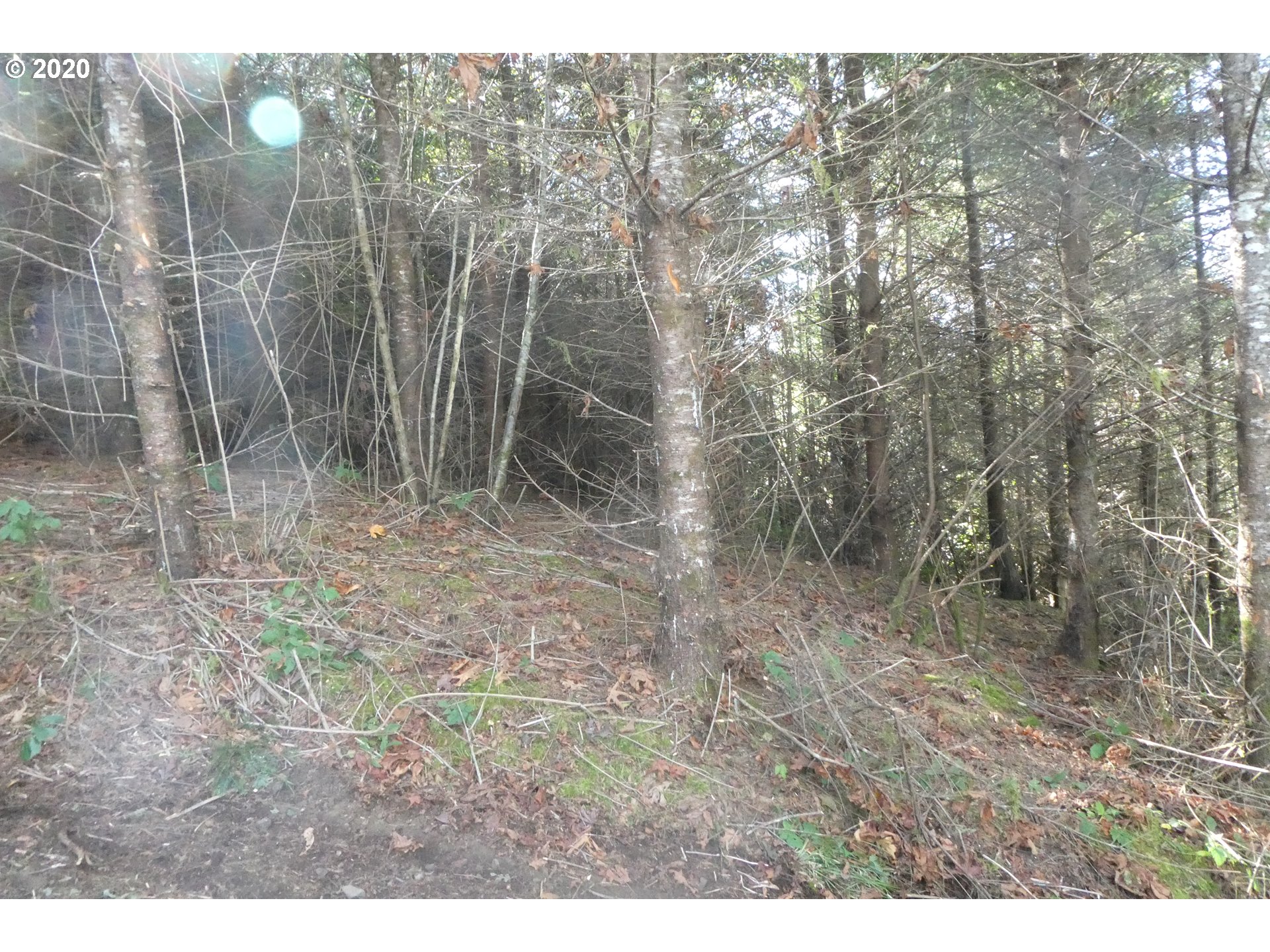 Coy Creek Road, Unit 605 Gold Beach, OR 97444 - Photo 12 of 32 Gallery Image 12