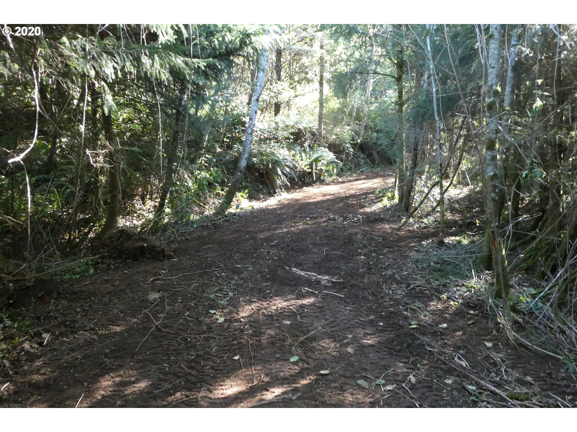 Coy Creek Road, Unit 605 Gold Beach, OR 97444 - Photo 14 of 32 Gallery Image 14