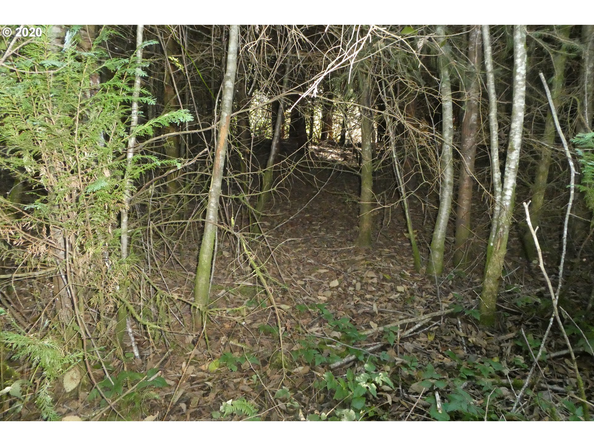 Coy Creek Road, Unit 605 Gold Beach, OR 97444 - Photo 15 of 32 Gallery Image 15
