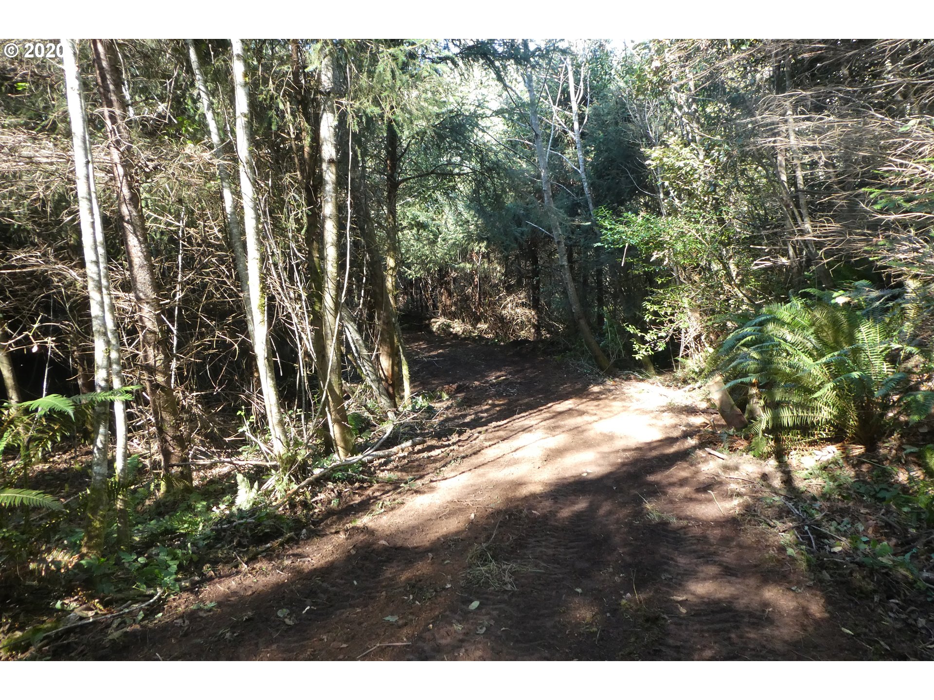 Coy Creek Road, Unit 605 Gold Beach, OR 97444 - Photo 16 of 32 Gallery Image 16