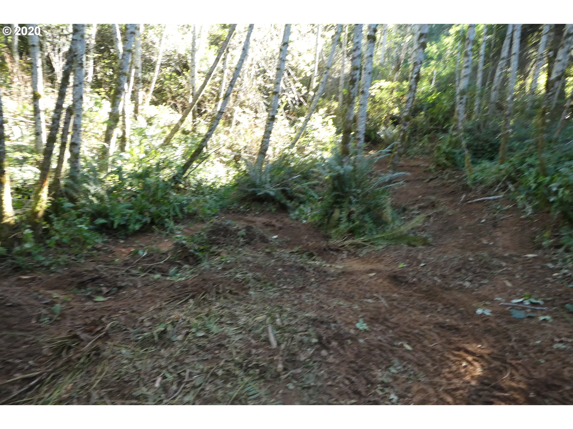 Coy Creek Road, Unit 605 Gold Beach, OR 97444 - Photo 19 of 32 Gallery Image 19