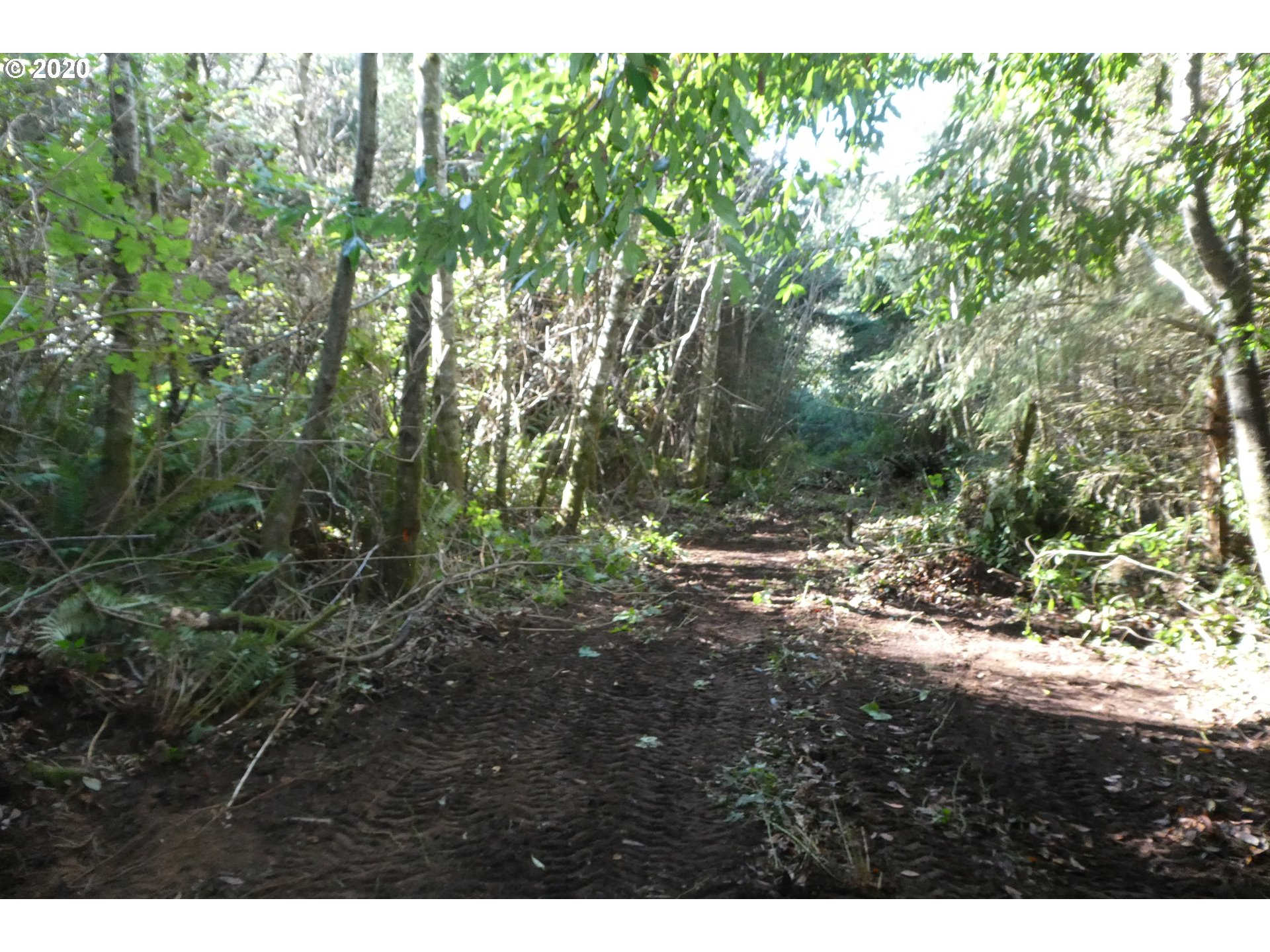 Coy Creek Road, Unit 605 Gold Beach, OR 97444 - Photo 21 of 32 Gallery Image 21