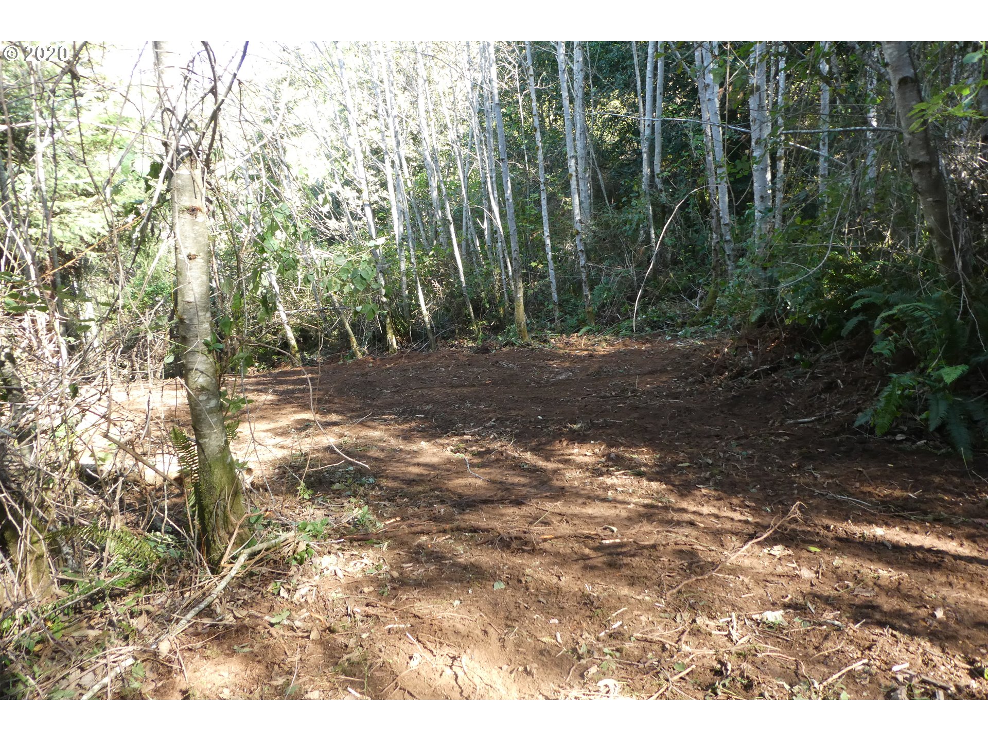 Coy Creek Road, Unit 605 Gold Beach, OR 97444 - Photo 22 of 32 Gallery Image 22