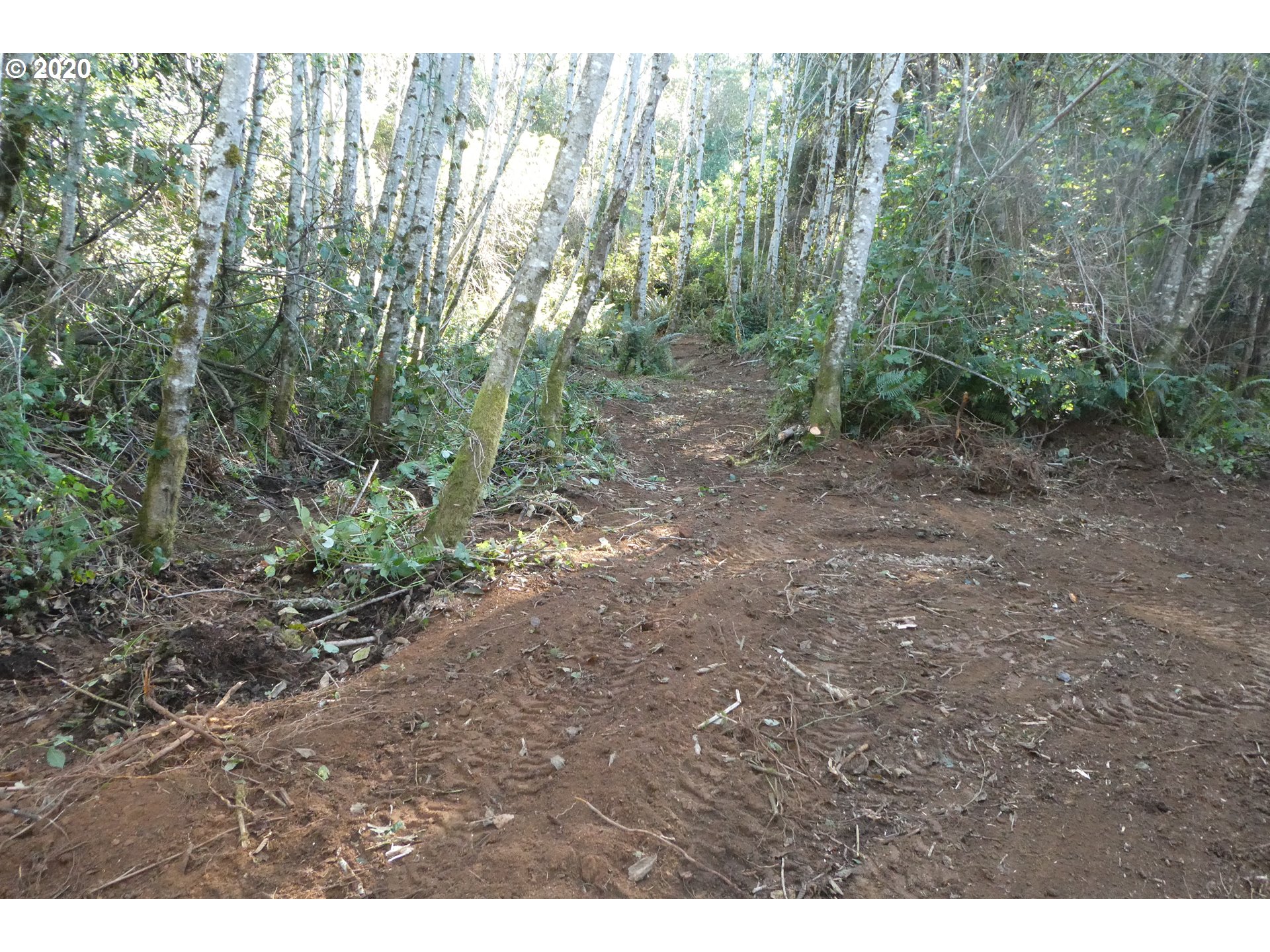 Coy Creek Road, Unit 605 Gold Beach, OR 97444 - Photo 26 of 32 Gallery Image 26