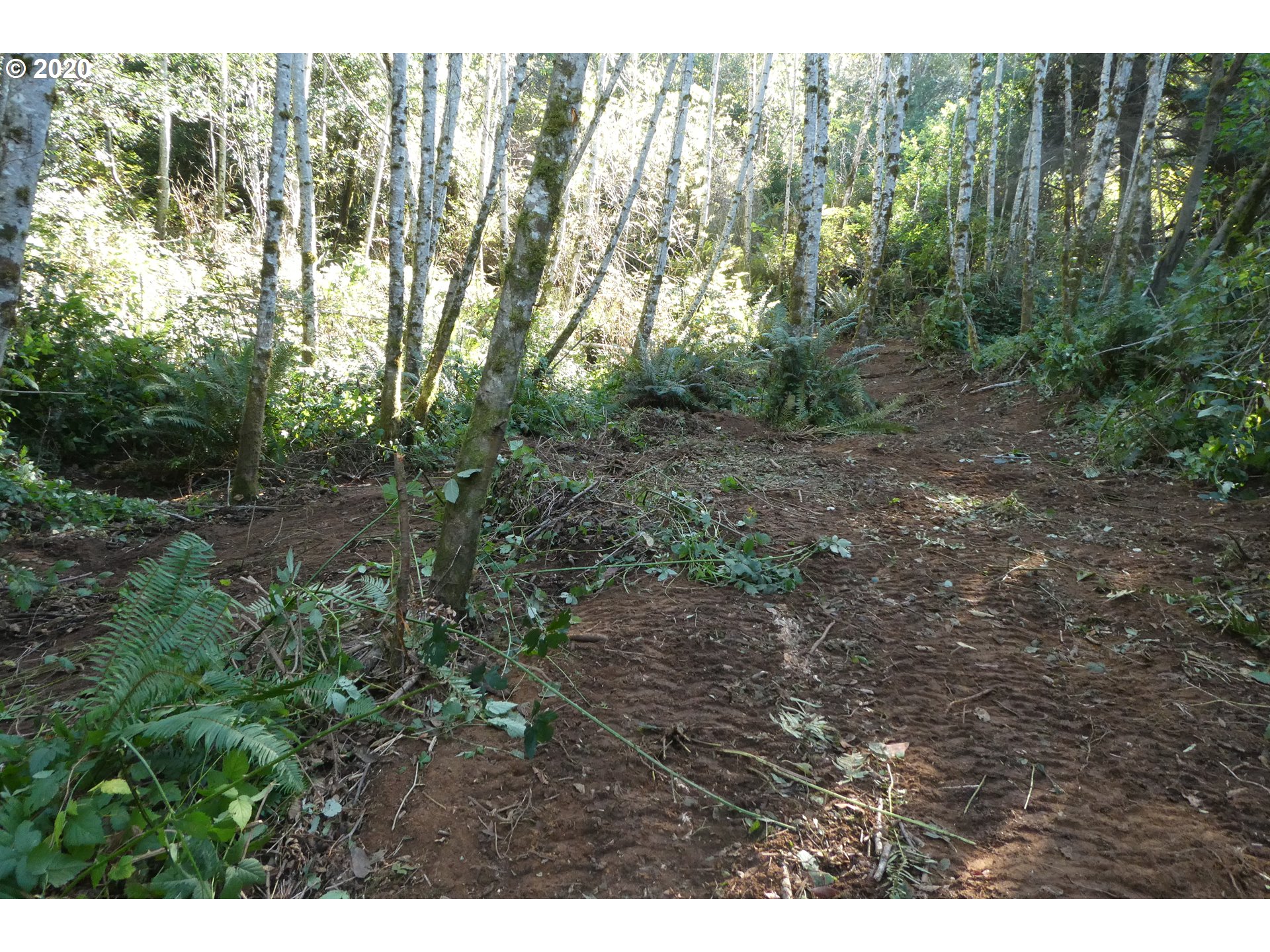 Coy Creek Road, Unit 605 Gold Beach, OR 97444 - Photo 27 of 32 Gallery Image 27