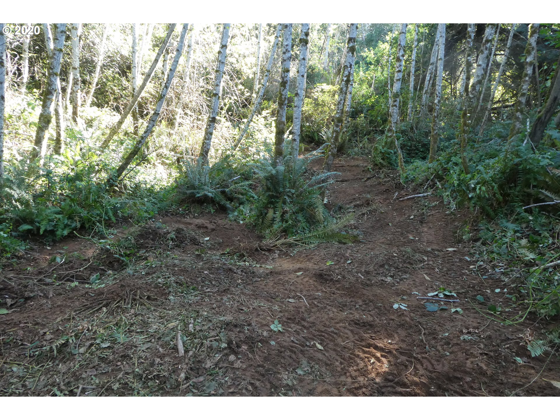 Coy Creek Road, Unit 605 Gold Beach, OR 97444 - Photo 28 of 32 Gallery Image 28